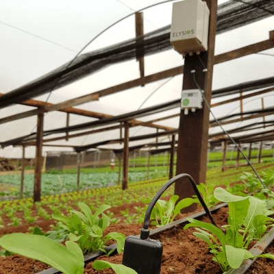 Sensores de umidade e temperatura do ar e do solo em estufa de hortaliças
